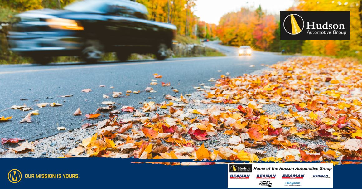 Manheim_NASH's tweet photo. I’m totally fall-ing for Hudson Automotive this week! 
Tuesday, October 18 | Lane 9 (49) | 9:30 AM CT | 40 units
Inventory ➡ https://t.co/2j1mjuFiLM
#CoxAutomotive #Manheim #ManheimNashville https://t.co/WA8cVEqwNK