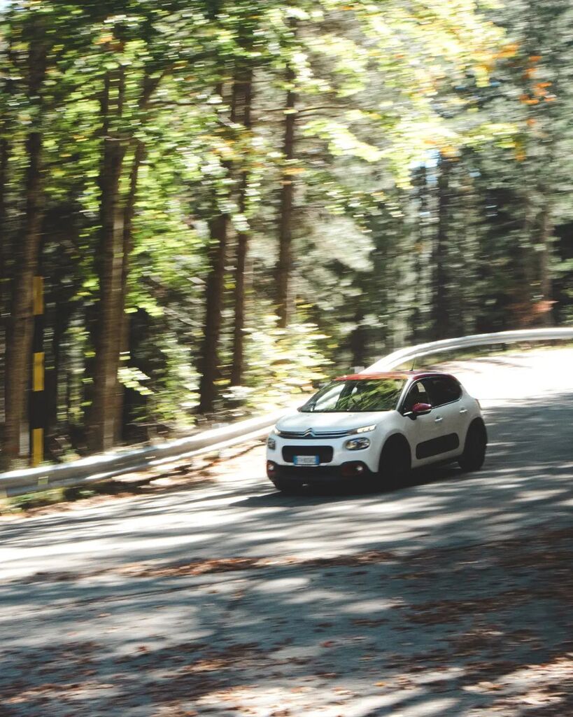 📸 PANNING ARAOUND MONTE SCURO 
•
•
•
•
#italia_dev #travel_drops #canonitaliaspa #ig_italia #ig_worldclub #megaphotographers #nature_lovers #italiainfoto #calabria #tree_magic #italiasuperscatti #magic_marvels #travelworld_addiction #mint_shotz #yallersitalia #best_itali…