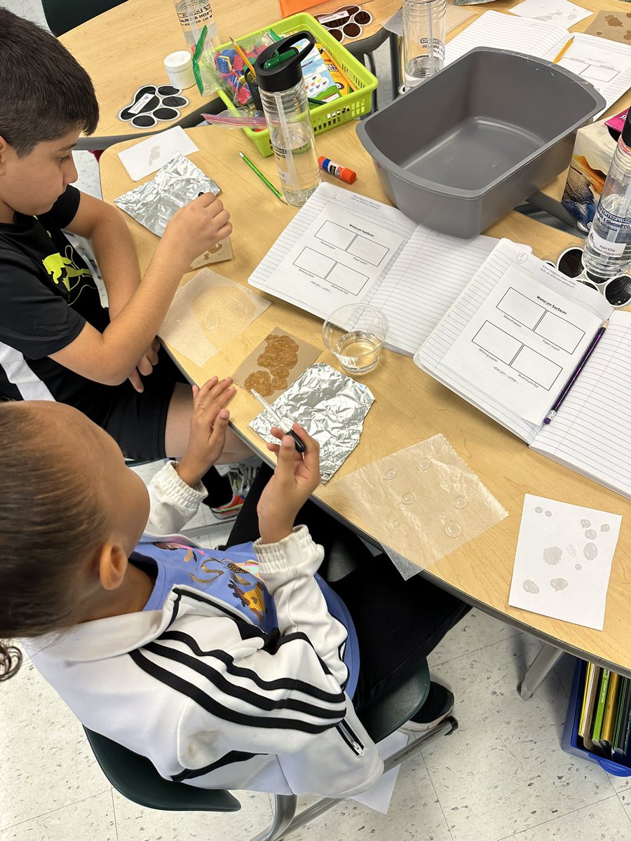 Dr. Weeks 3rd Grade tweet media