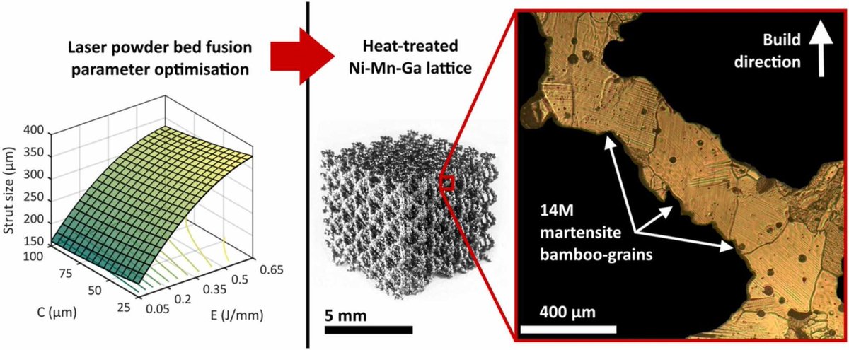 MoatazAttallah's tweet photo. #NewPaper #AdditiveManufacturing of Magnetic Shape Memory Alloys @AdditiveJournal 

Laser powder bed fusion of (14 M) Ni-Mn-Ga magnetic shape memory alloy

Work by @Milleret_a et al.
 https://t.co/csNtq6HYiI https://t.co/nwlrxj4rEr