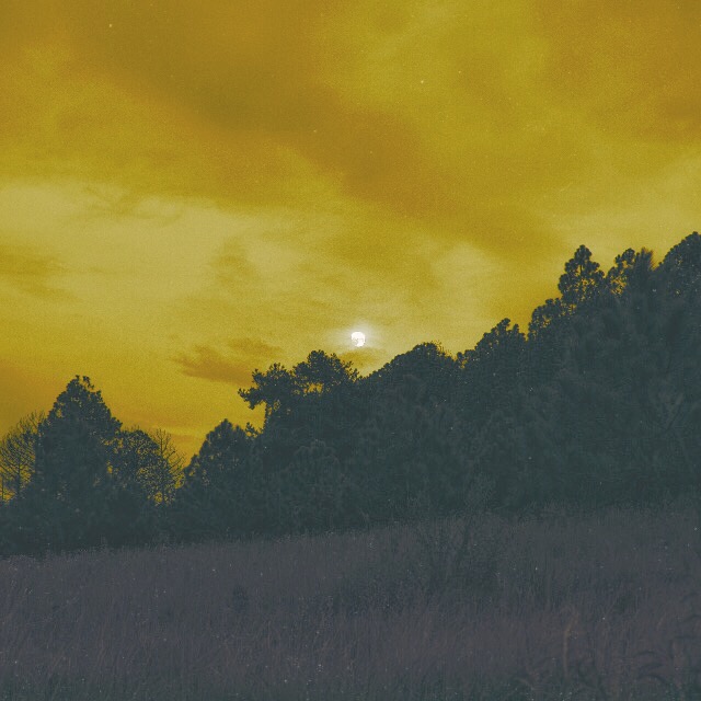 pulpho_'s tweet photo. longer days longer nights 
#artwork #photographyart #NFT https://t.co/MQLTpR3sPu
