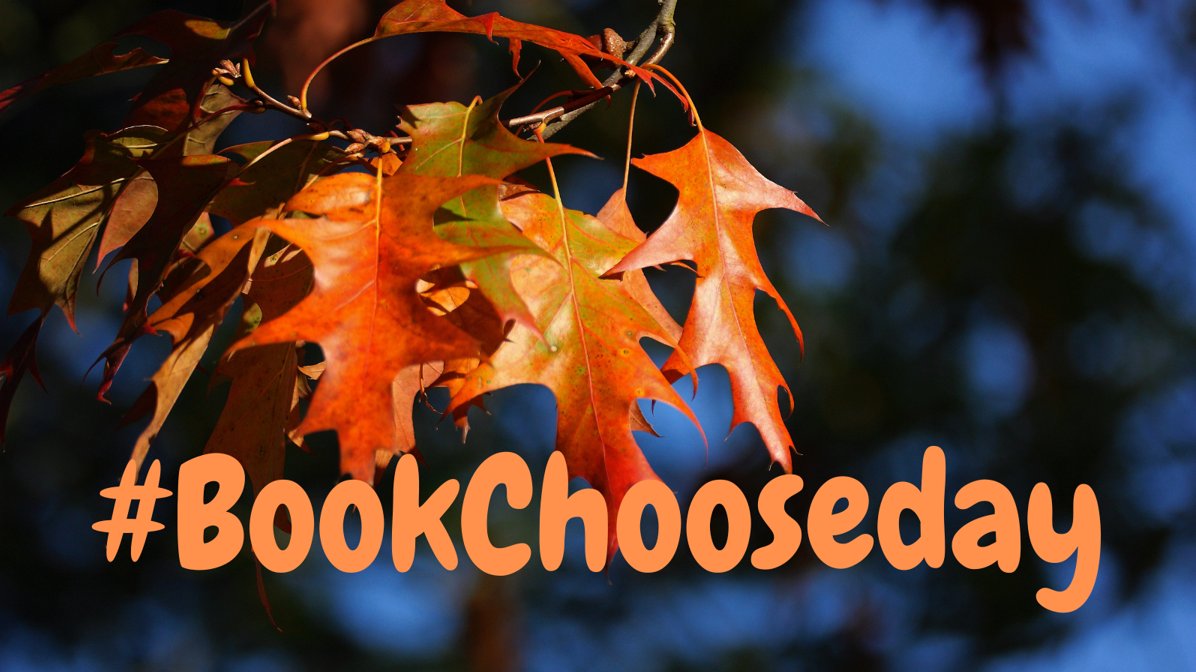 RedbridgeLibs's tweet photo. Time for #BookChooseday! We’re seeking a #book with a mostly red cover. Whether you’re visiting a #Redbridge #Library, at school or work or home, can you find one? If you can, tweet a pic using #BookChooseday for ur choice & tag us so we can see. #LoveLibraries #YearOfTheLibrary https://t.co/p7e3eyPL71