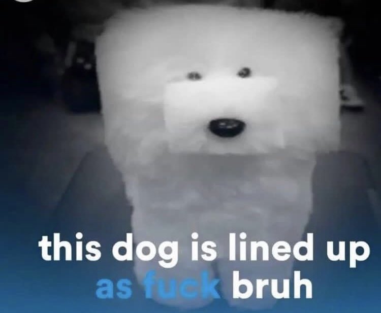 thatguy69420666's tweet photo. @goodguyfitz @SwaggerSouls @Misfits Jokes on u I smoked and watched the whole thing before this tweet 🗿🗿🗿🗿 https://t.co/zOBJe04T0I