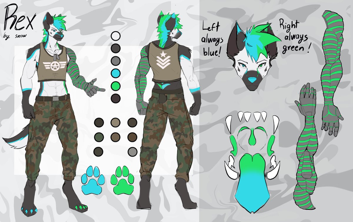 TrickShotTor1's tweet photo. Finally got my updated ref sheet! https://t.co/YFp5hhMXQN
