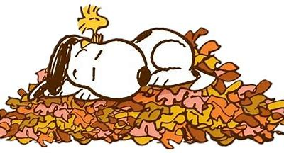 Zzzzzzzzzzz....#MondayVibes