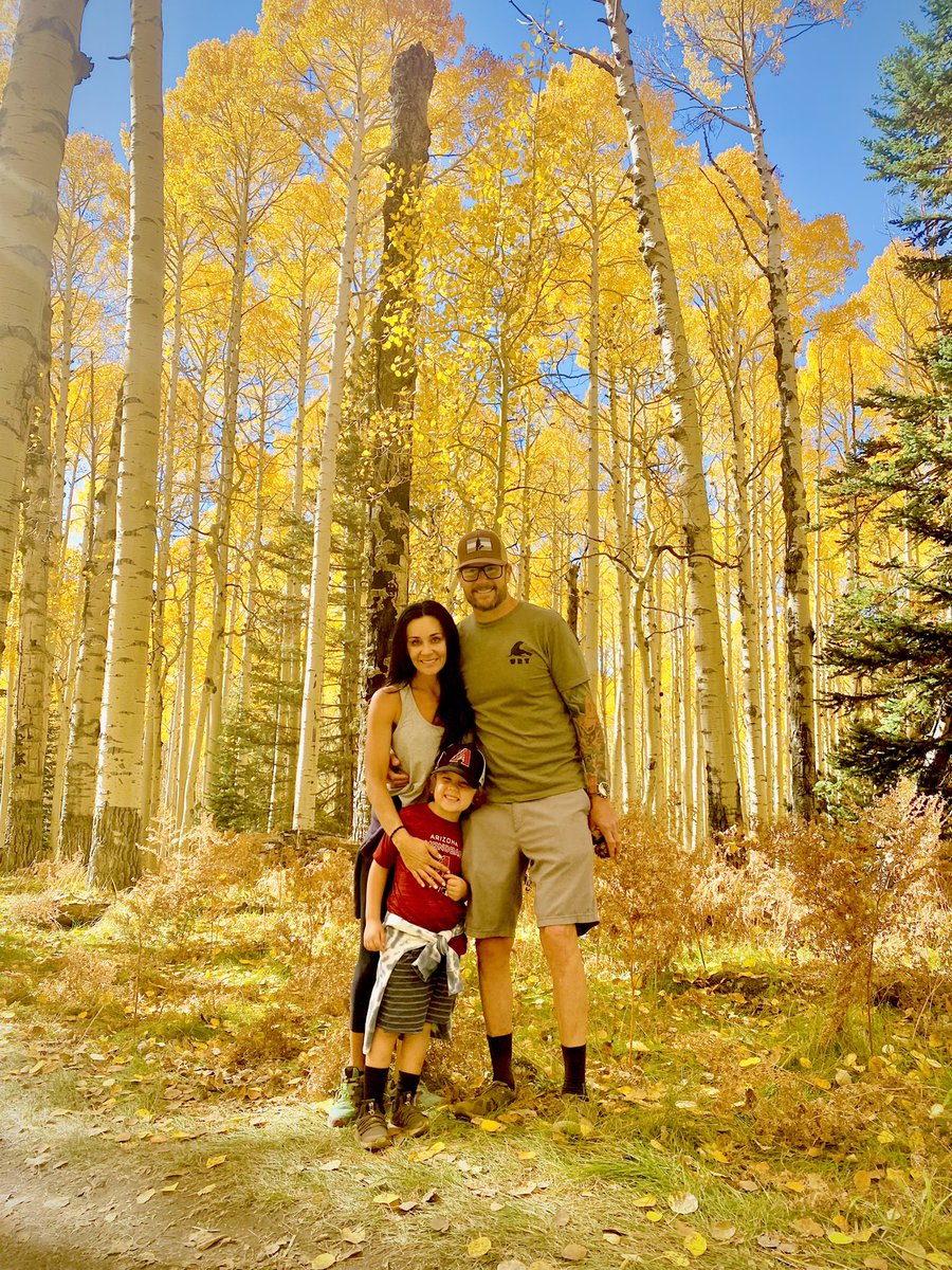 Matt McAllister tweet media