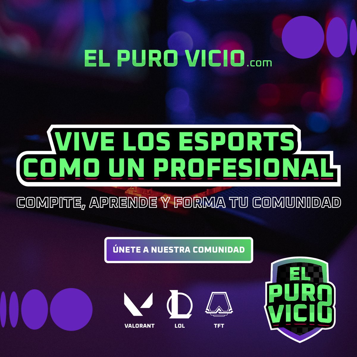 El Puro Vicio tweet media