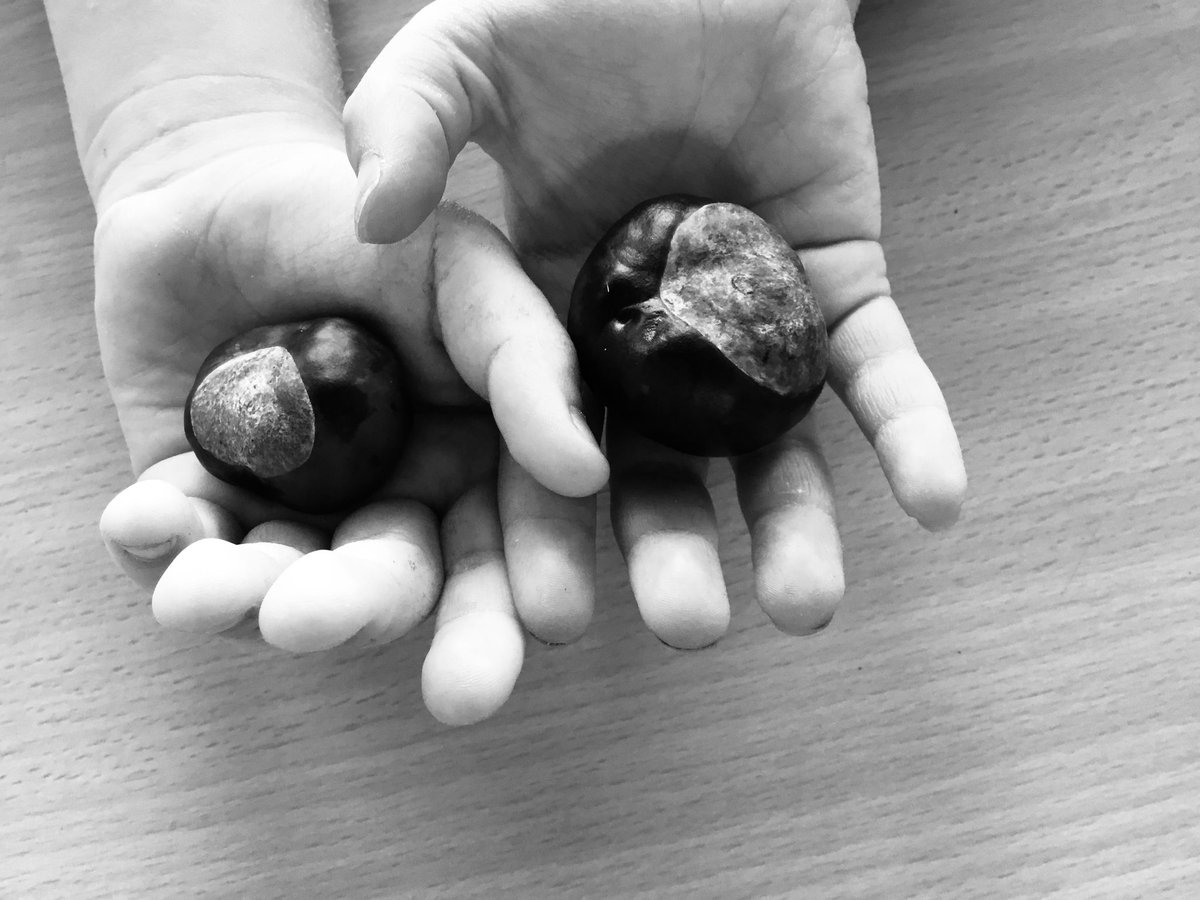 amy parsons (@amyparsons123) on Twitter photo All of Year 1 received a conker as a reminder of the walk to Ham woods 🌳 and to inspire conversations at home 🏠 🗣 Which of the 5 senses will the children recall? #oracy #inspiringwriting <a href="/siobhanbradsMCA/">Siobhan Bradshaw</a> <a href="/CatherineactMCA/">Catherine Acton</a> <a href="/Mayflower_MCA/">Mayflower Academy</a> All of Year 1 received a conker as a reminder of the walk to Ham woods 🌳 and to inspire conversations at home 🏠 🗣 Which of the 5 senses will the children recall? #oracy #inspiringwriting <a href="/siobhanbradsMCA/">Siobhan Bradshaw</a> <a href="/CatherineactMCA/">Catherine Acton</a> <a href="/Mayflower_MCA/">Mayflower Academy</a>