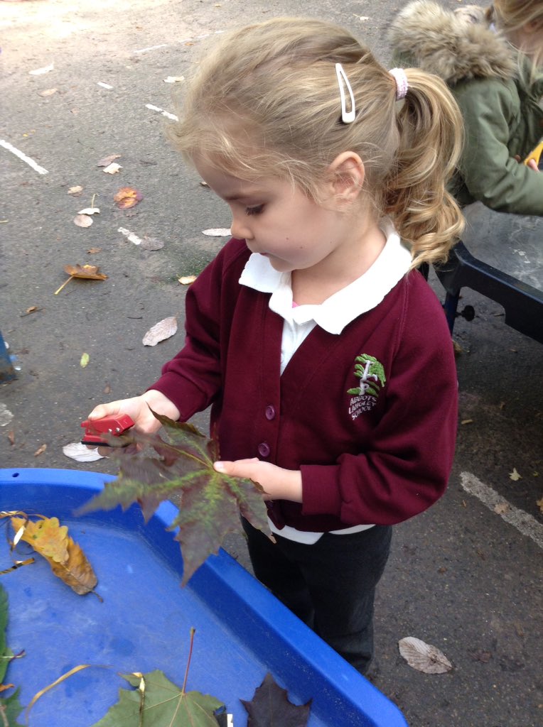 bonnin_mrs's tweet photo. In Nursery today we sorted Autumn leaves by looking at their different colours. We threaded them onto ribbon to make a piece of Autumn artwork. https://t.co/Hy9uXQaMl7