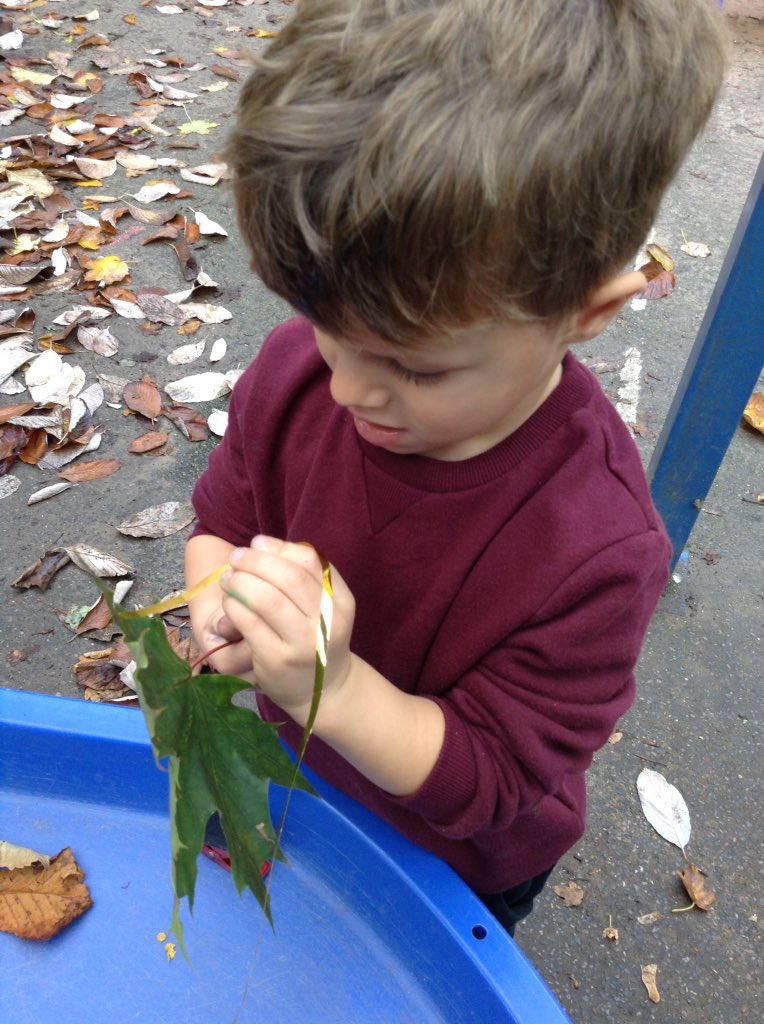 bonnin_mrs's tweet photo. In Nursery today we sorted Autumn leaves by looking at their different colours. We threaded them onto ribbon to make a piece of Autumn artwork. https://t.co/Hy9uXQaMl7