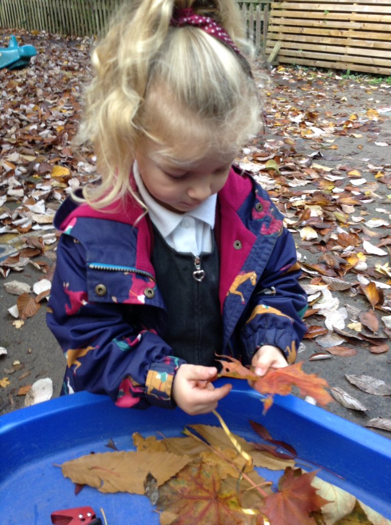 bonnin_mrs's tweet photo. In Nursery today we sorted Autumn leaves by looking at their different colours. We threaded them onto ribbon to make a piece of Autumn artwork. https://t.co/Hy9uXQaMl7