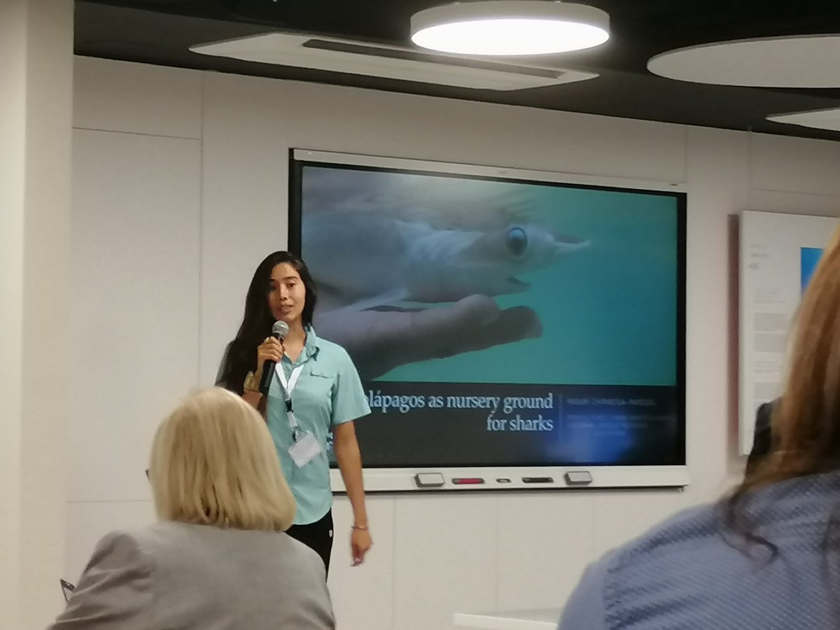 Early start of <a href="/SharksInt2022/">Sharks International</a> #Valencia with these great #shark talks and photo exhibition at the opening of the new <a href="/USFQ_Ecuador/">Universidad San Francisco de Quito</a> campus
🦈 <a href="/Diany_pj/">Diana Pazmiño</a>