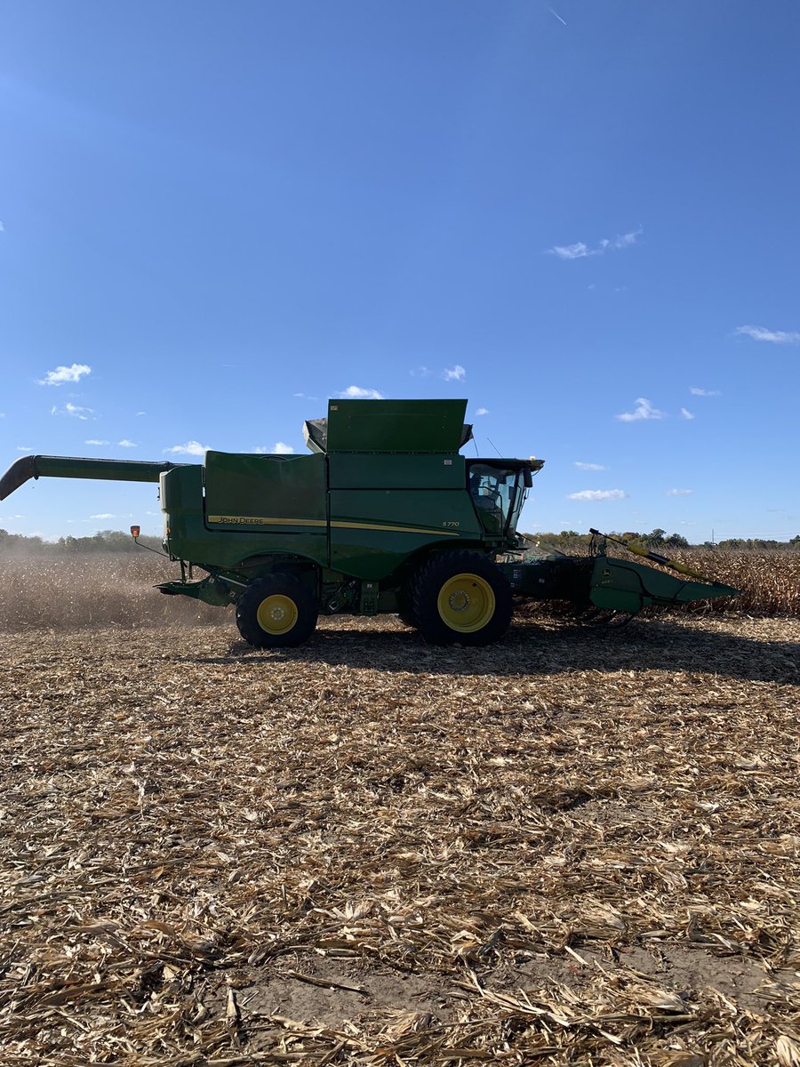 tprice70's tweet photo. Short corn fungicide trial I watched all summer came out today! Yield was there for sure! Plus weed control excellent! Thank you Lake Farms! Data will come. #DEKALB @DKAS_SIL #Bayer4IL https://t.co/dNO4PSIEzA