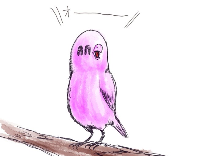 害鳥くんファンアートです🦜 