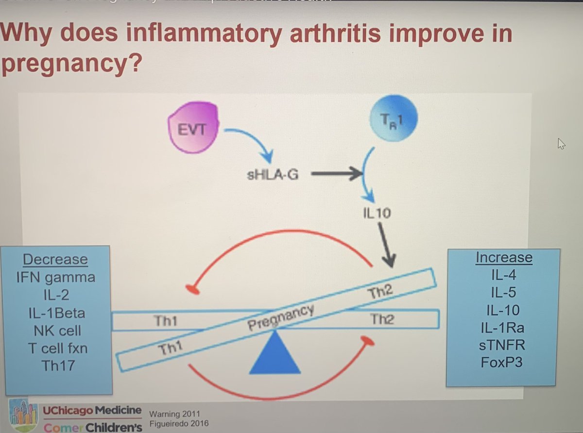 Wonderful talk by Dr. Cuoghi Edens on #reproductivehealth for women with #rheumaticdisease via the @ACRheum ViRL Webinar. Trophoblasts secrete sHLA-G that increases IL-10, which is why inflammatory #arthritis improves in #pregnancy