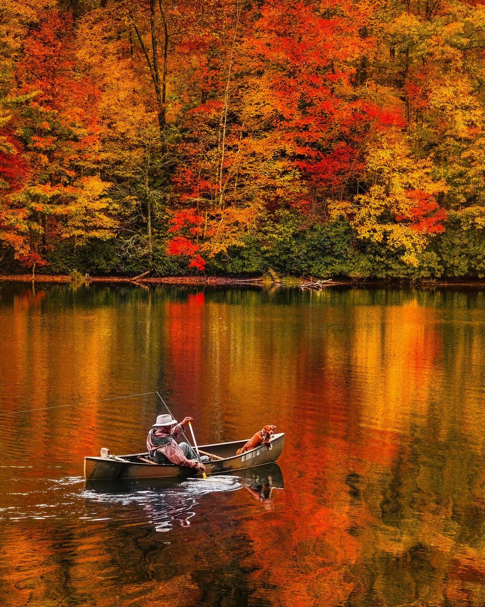 NC Smoky Mountains tweet media