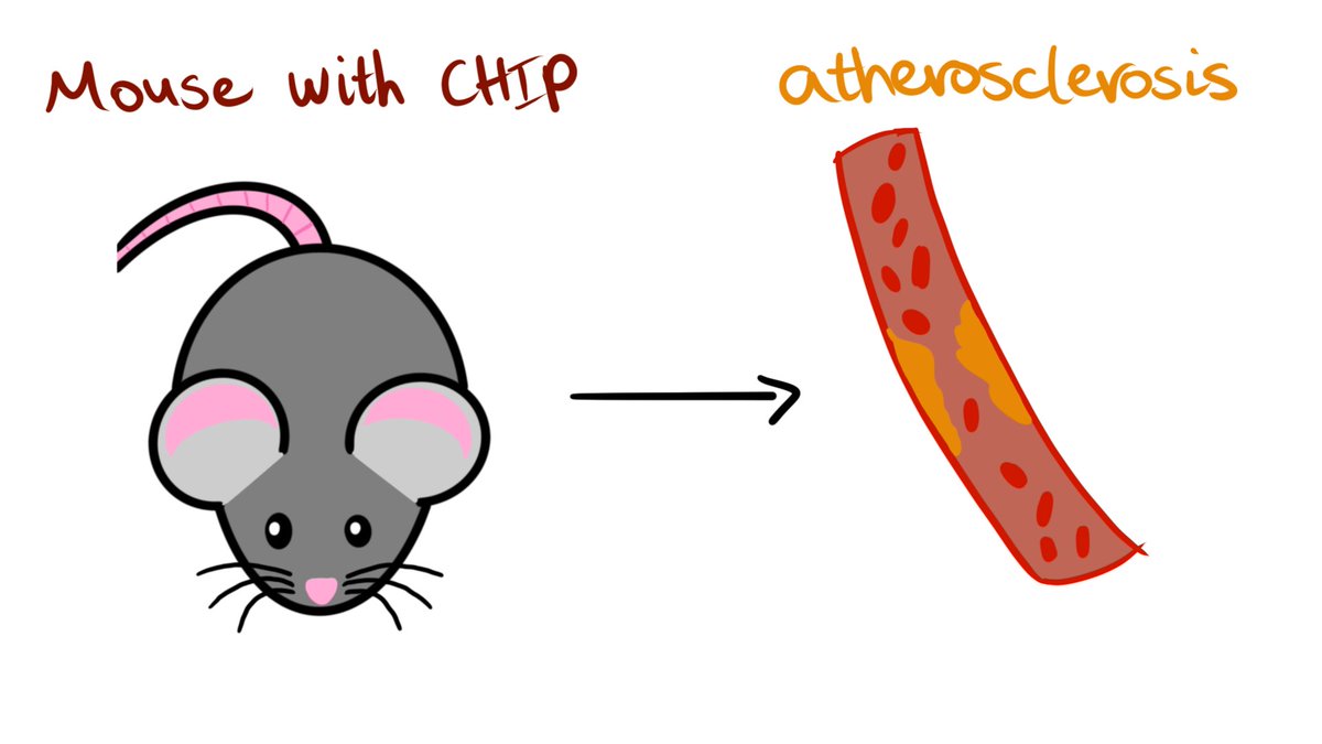 Gairdner Foundation on Twitter: 