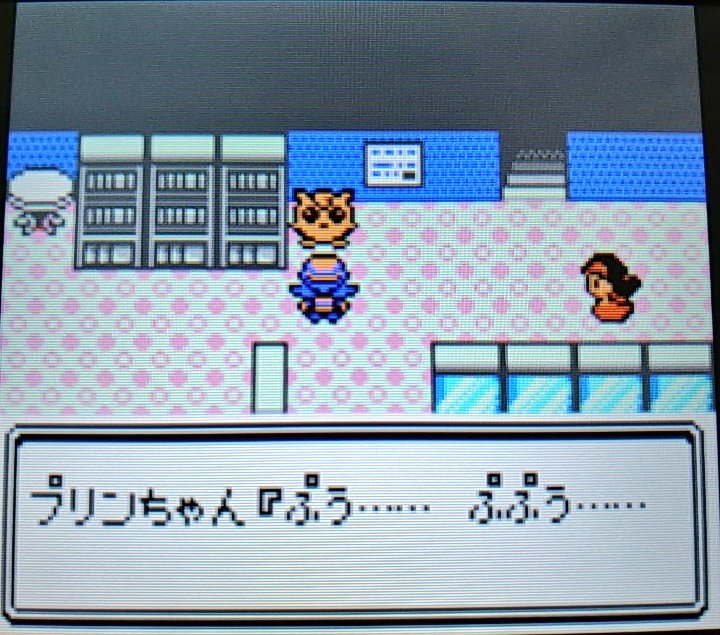 プリンちゃん（感謝） いちご魔女 on X