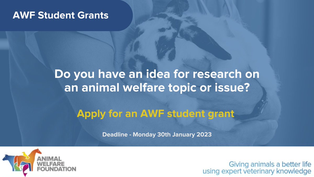 Apply now for the opportunity to develop your research skills and contribute to #animalwelfare in a positive way. AWF student grants are available now to undergraduate students with a passion for animal welfare. Learn more on our website: ow.ly/HKPx50Lcebh #AWFResearch