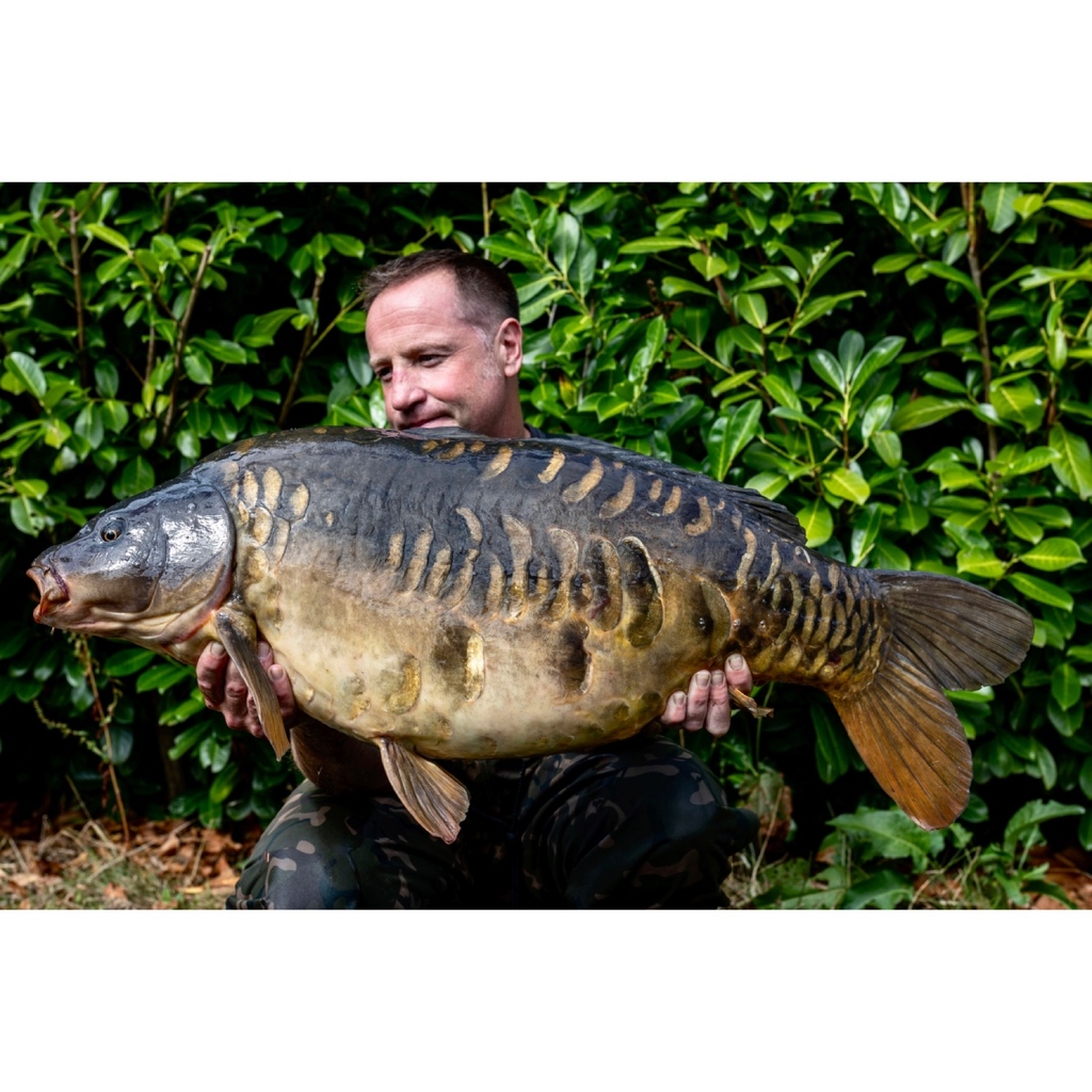 StickyOfficial's tweet photo. Riverton Road Lake scaly! 

Leon Sprague fished over a mix of standard Krill and Krill Active in 12mm and was rewarded with this awesome 42lb 9oz beast.

#StickyBaits #TheKrill #KrillActive https://t.co/R6d9APmhdo