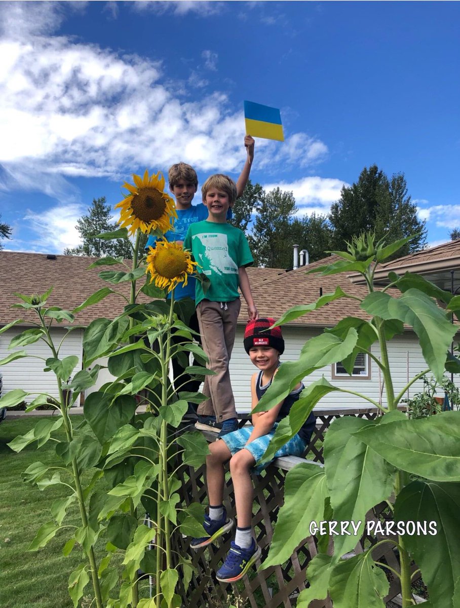 QuesnelRotary's tweet photo. This past spring, we sold sunflower seeds donated to us by #Veseys to raise funds for Ukrainian humanitarian relief: #SunflowersForUkraine 🌻
As a follow-up, we invited people to send us their favourite picture of what the seeds produced, and all we can say is “Wow” https://t.co/FIg93shqtM