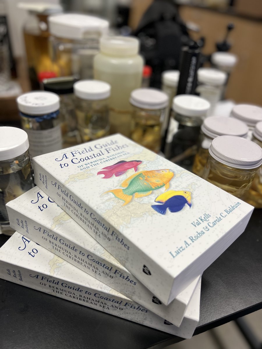 CoralReefFish's tweet photo. In case you haven't gotten my new field guide to Caribbean fishes (with the amazing Val Kells and Carole Baldwin @FishDoc1), you can get it now through the end of the month from @JHUPress with 30% off using the discount code HOCT22! #ichthyology https://t.co/jGsfnPodxs https://t.co/CqV2EGEDHV