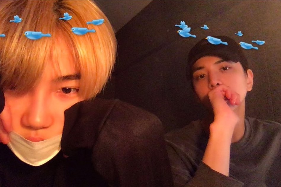 bbn_yap's tweet photo. 볼 때마다 개좋아서 돌아버릴 것 같은 빵뉴 사진입니도..... https://t.co/HjIgEDPO7u