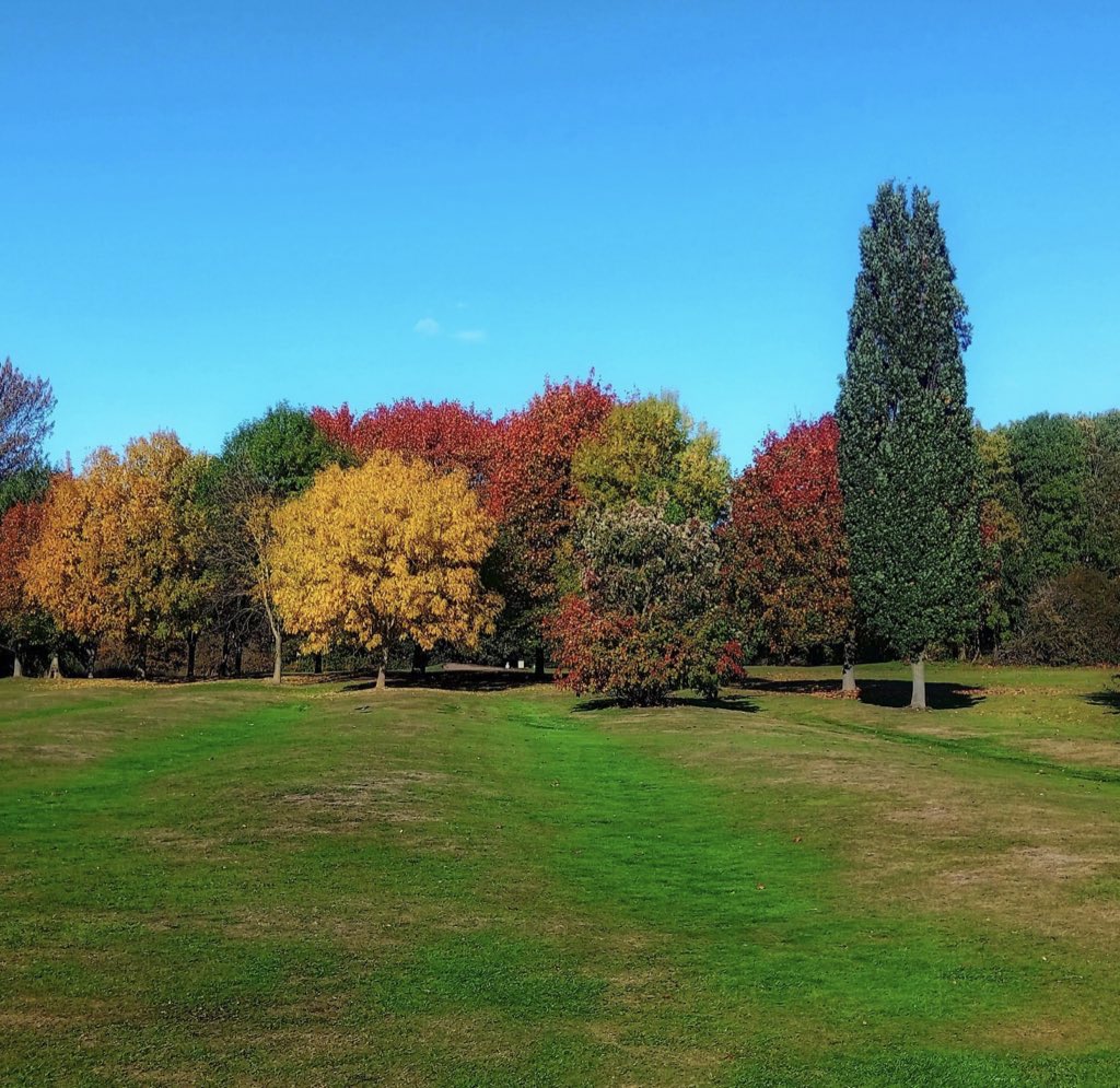 Edwalton Golf Centre tweet media