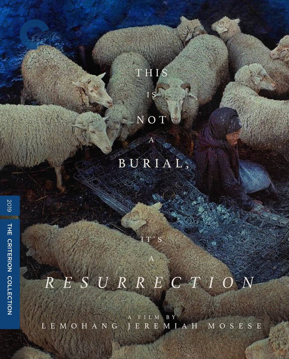 Criterion Collection tweet media