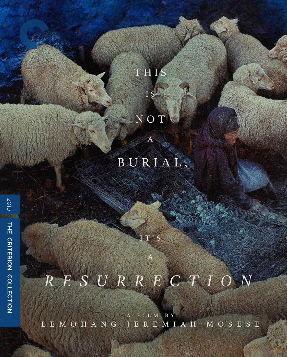 Criterion tweet picture