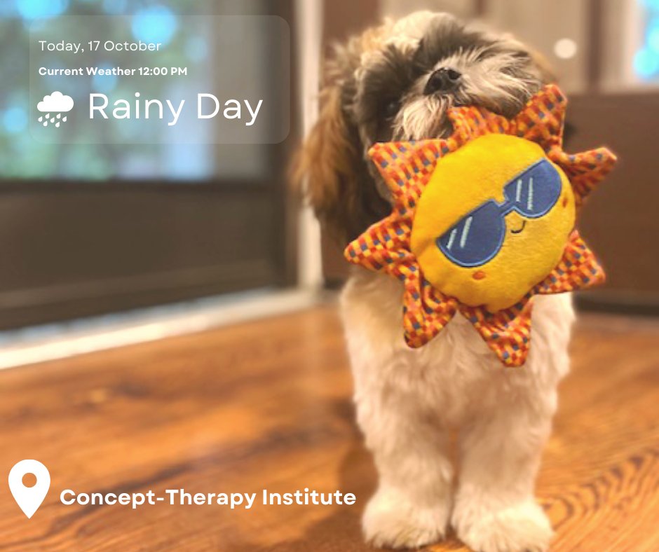 ConceptTherapy's tweet photo. Shout out to Pico for bringing a little sunshine into the office today! https://t.co/qhoNYlDnWz
