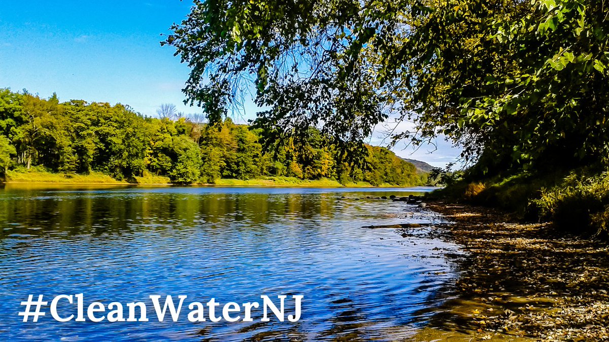 DelRivCoalition's tweet photo. Climate change is causing increased flood risk in NJ, but it is one of only 21 states w/o flood disclosure requirements for buyers and renters. During #CleanWaterNJ education week, we are asking legislators to support S3110. https://t.co/D6z6pqhAGN