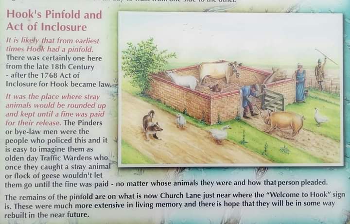 avidgardener72's tweet photo. https://t.co/iShrxyS3Eu
#villagehistory #eastyorkshire #pinfold https://t.co/Khkij5xfPn