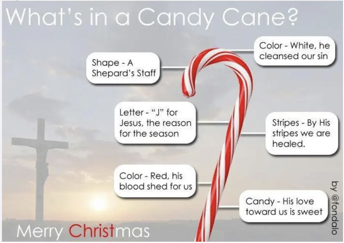 Nancy Franklin 🥥 🌴 tweet media