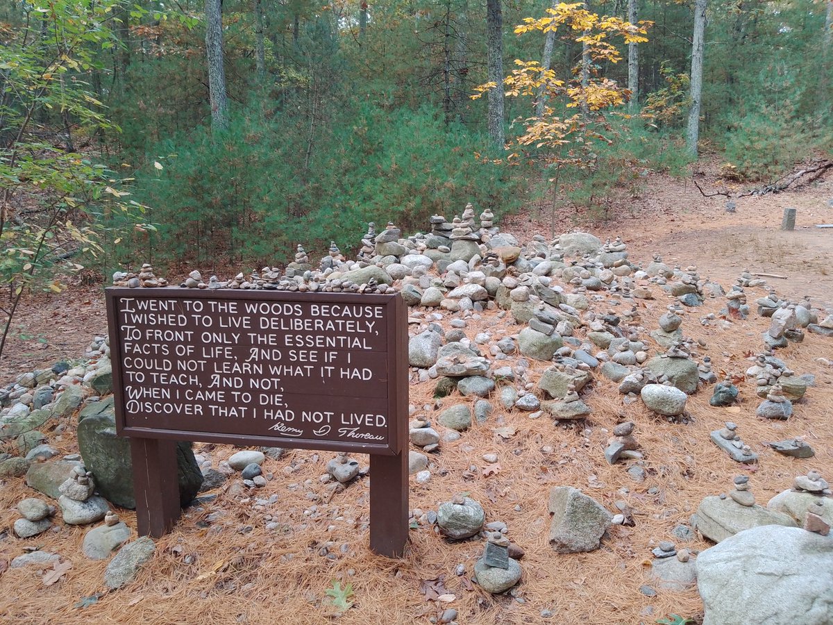 Isabel Galleymore On Twitter Yesterday I Swam In Walden Pond This 