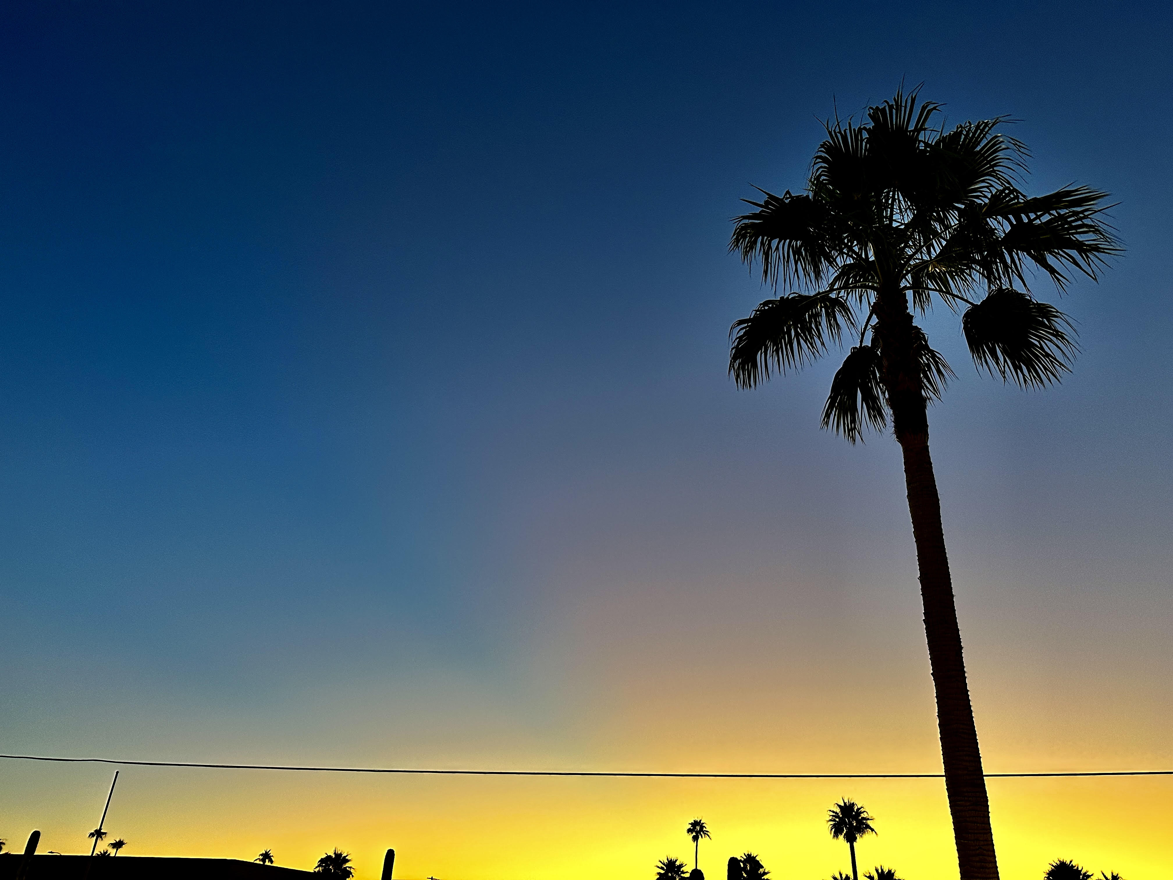 Nws Phoenix Az