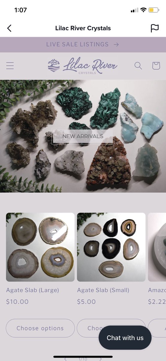 rachel 🌱 tweet media