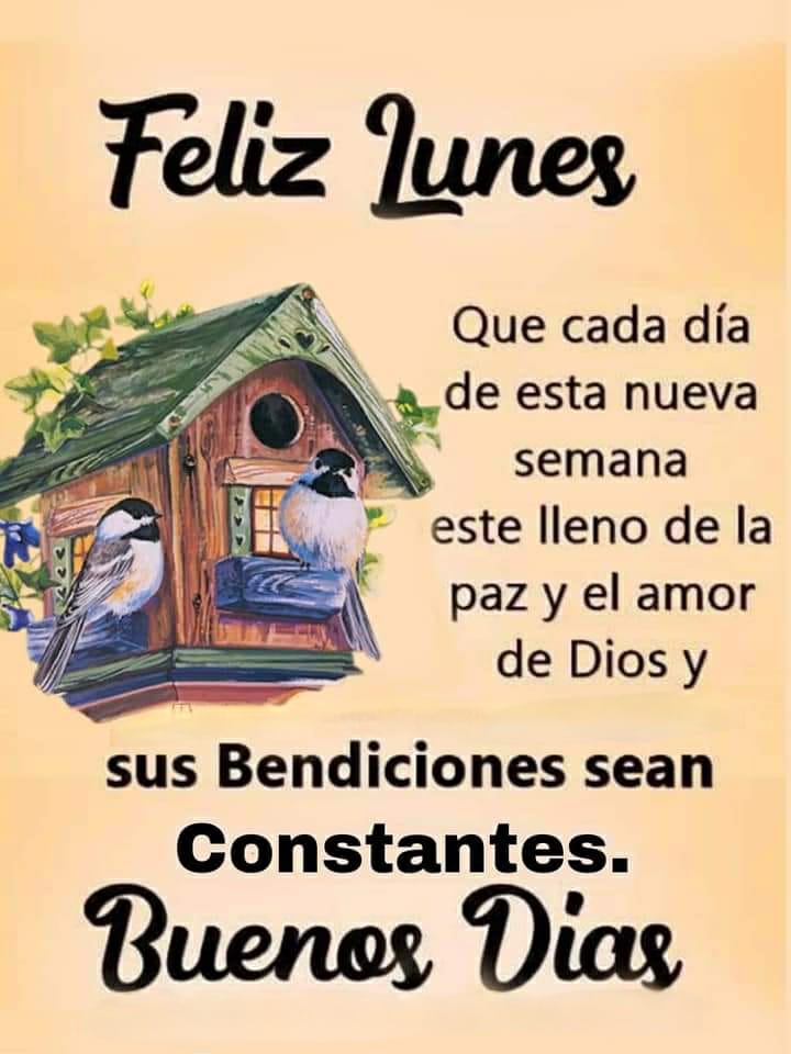 raquelvidalb's tweet photo. Feliz y Bendecido Lunes para todos...🙌🙏🌷
#FelizLunes #FelizLunesATodos #FelizDia #17Oct2022 #BendecidoDía #BendecidoLunes #FelizInicioDeSemana #FelizSemana https://t.co/opuw4czrdu