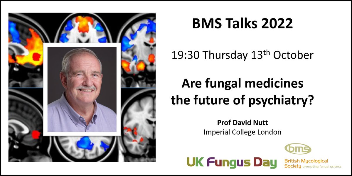 British Mycological Society tweet media