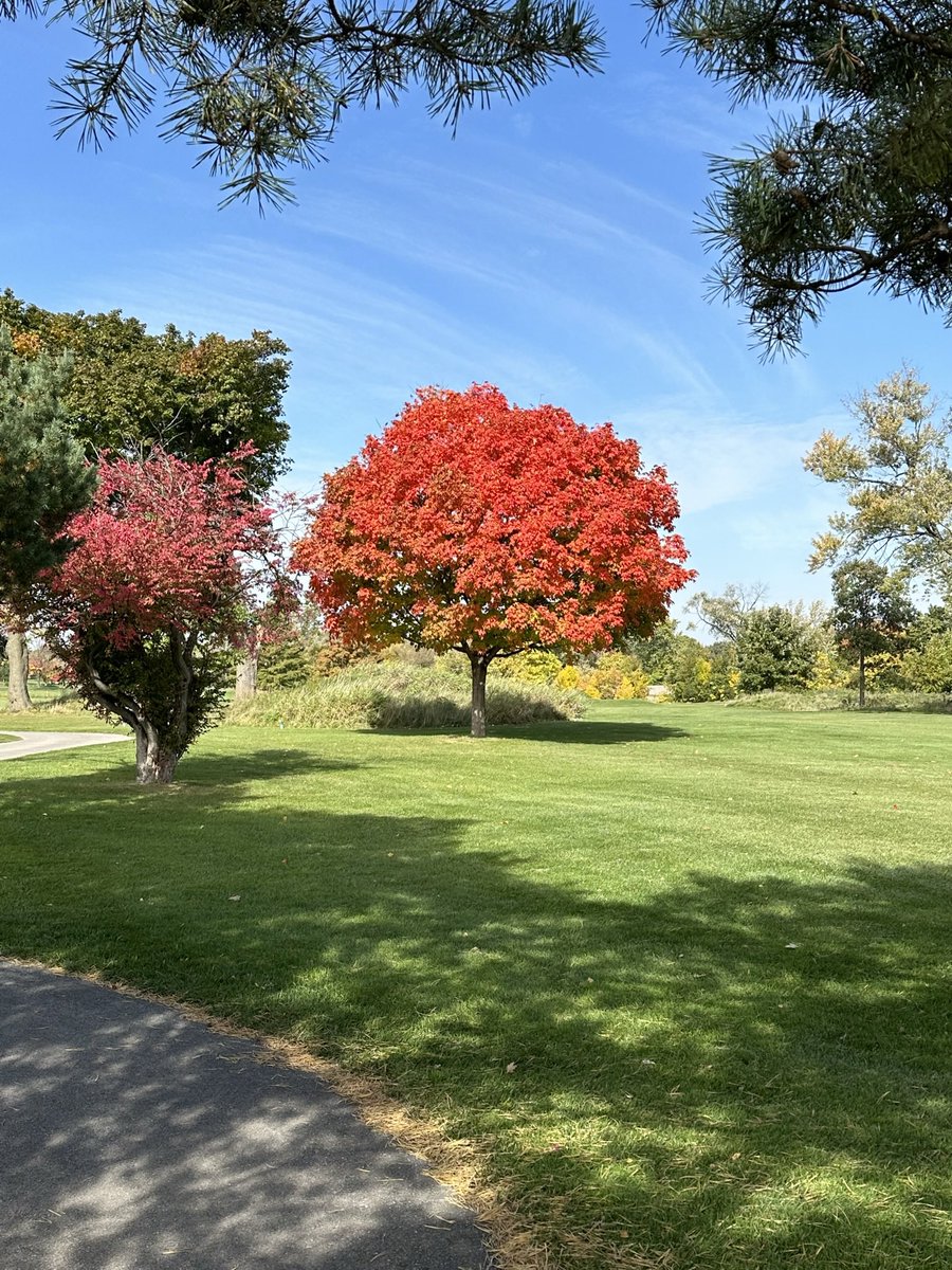 MtProspectGC's tweet photo. Even though today is feeling more like winter π₯Ά, we are still enjoying the beauty of fall here at #mpgc! β³οΈ.
.
.
#golf #mtprospect #illinoisgolf #chicagogolf #mtprospectgc #golfers #golfcourse #golflife #golfseason #fallgolf #fallinchicago #falltrees #fallinillinois #fallvibes https://t.co/AAtoRid81X