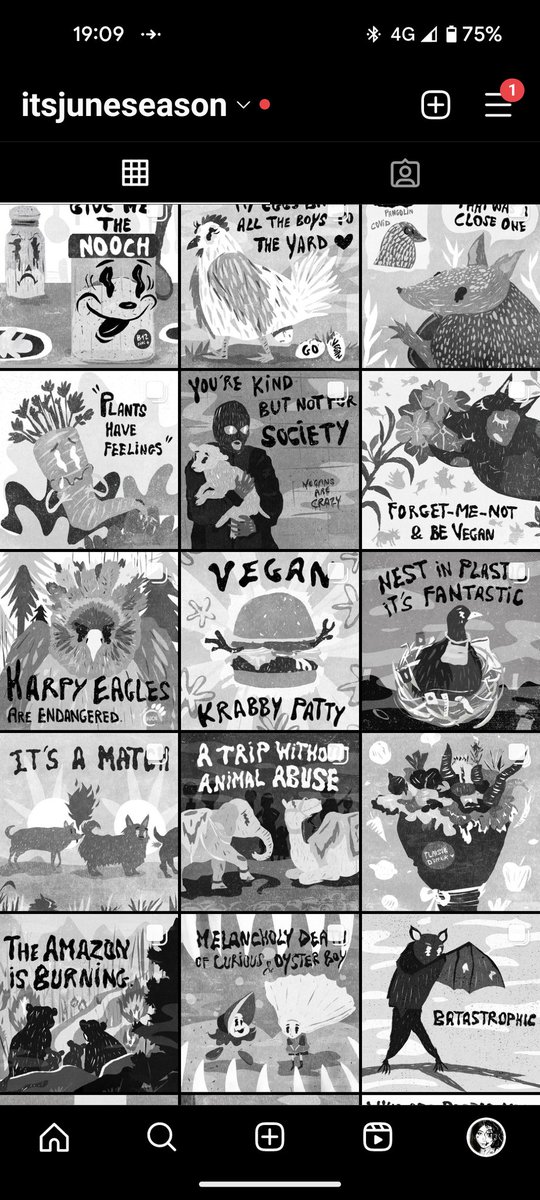 🌱 JUNE Ⓥ tweet media