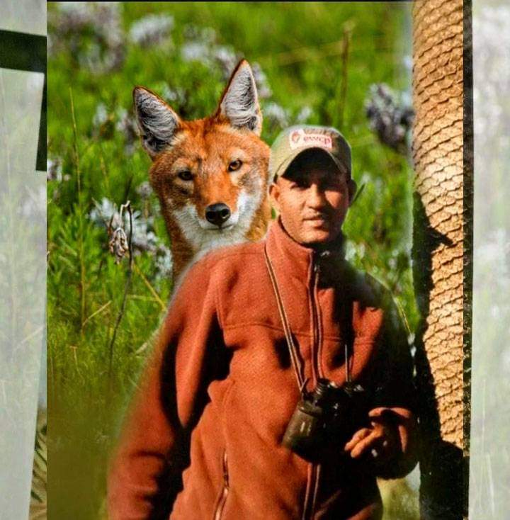 ethiogreenideas's tweet photo. ኑሮውን ከቀይ ቀበሮ ጋር ያደረገው ጌታቸው አሰፋ የህዝብ ድምጽ ምርጫ ሽልማት አሸናፊ ሆኗል!!!
ማኬና ትራቨርስ ሽልማት /McKenna-Travers Award/ ጌታቸው አሰፋ ማሸነፉን በመግለጽ የእንኳን ደስ ያለህ መልዕክት አስፍሯል።
እንኳን ደስ አለህ! https://t.co/N8t5GLR9Uj