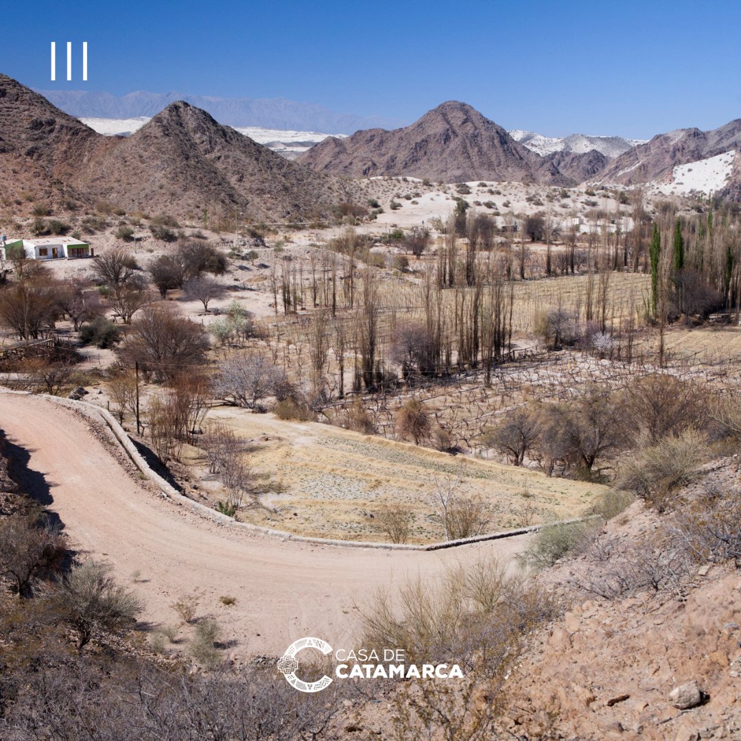 casacatamarca's tweet photo. 🏜 LAS INCREÍBLES DUNAS DE TATÓN
🔸 Ubicadas a 280 km de la ciudad #Capital, partiendo desde #Fiambalá por la #RP34 pasando por #Saujil y Medanitos, hasta llegar a Tatón.
Más: https://t.co/ES0fWj8Tj5 https://t.co/DqrsCqYhxr
