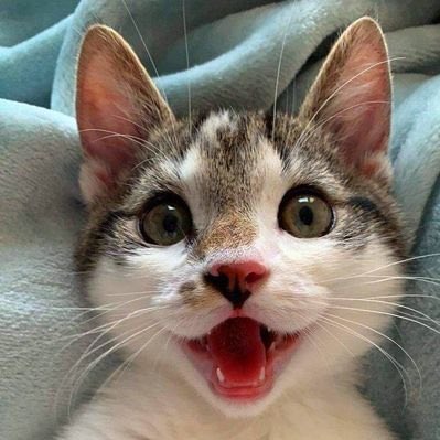 #NovaFotoDePerfil