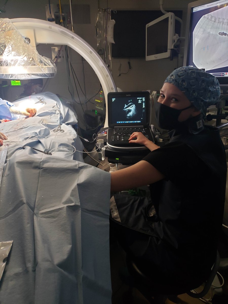 umnCVM's tweet photo. This week we are honoring our amazing #umnVMC and #umnCVM Vet Techs! Be sure to thank your vet tech, we couldn’t provide your pets the excellent care they deserve without the incredibly talented and dedicated team here. Thank you to all of our wonderful techs! https://t.co/ts3Eojo9M8