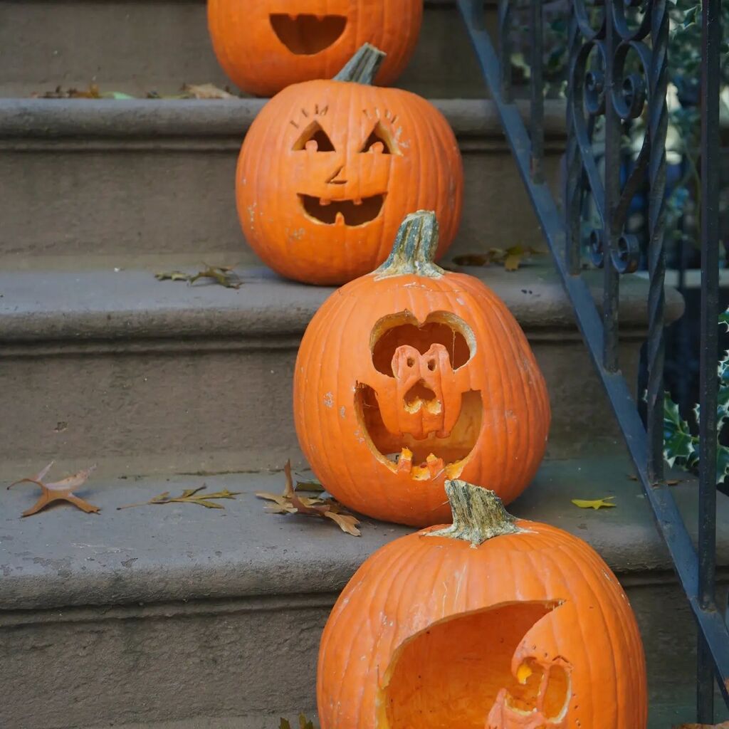 oishya_'s tweet photo. Pumpkin season is in full swing! People are outdoing themselves in decorating their porches with the spookiest Halloween symbols to the delight of the children. Are you joining the celebrations? If so, what will you cook from all these delicious pumpkins… https://t.co/FDIviRe9KG https://t.co/xVS0bgVN1J