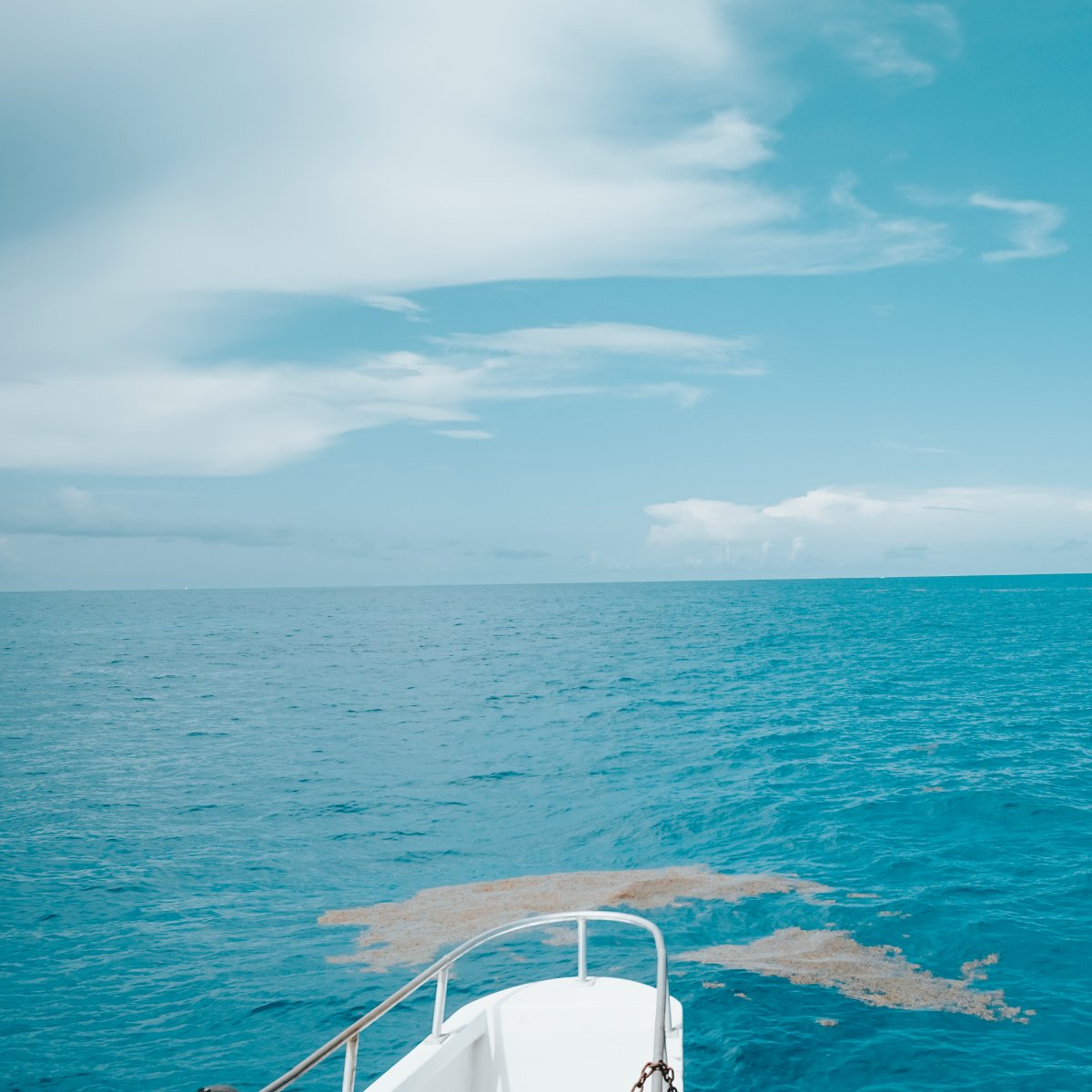 CaptMichaelFish's tweet photo. Nothing like the sea to calm a stormy mind. Come and sail away with us on the Capt. Michael, and leave all your troubles behind…💙🌊
.
#captainmichael #boat #travel #florida #fishing #floridakeys #islamorada #robbies #visitflorida #vacation #islandlife #sea #sealife #fishtrip https://t.co/5j2K83w9Es