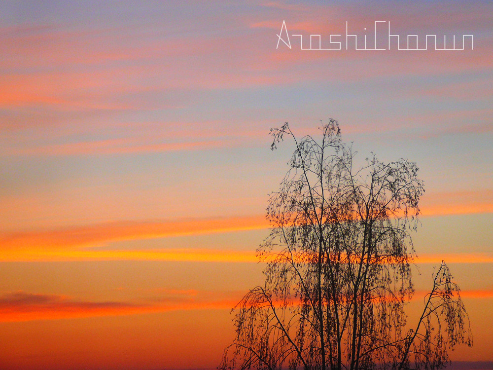 ArashiChanun (@arashichanun) on Twitter photo 