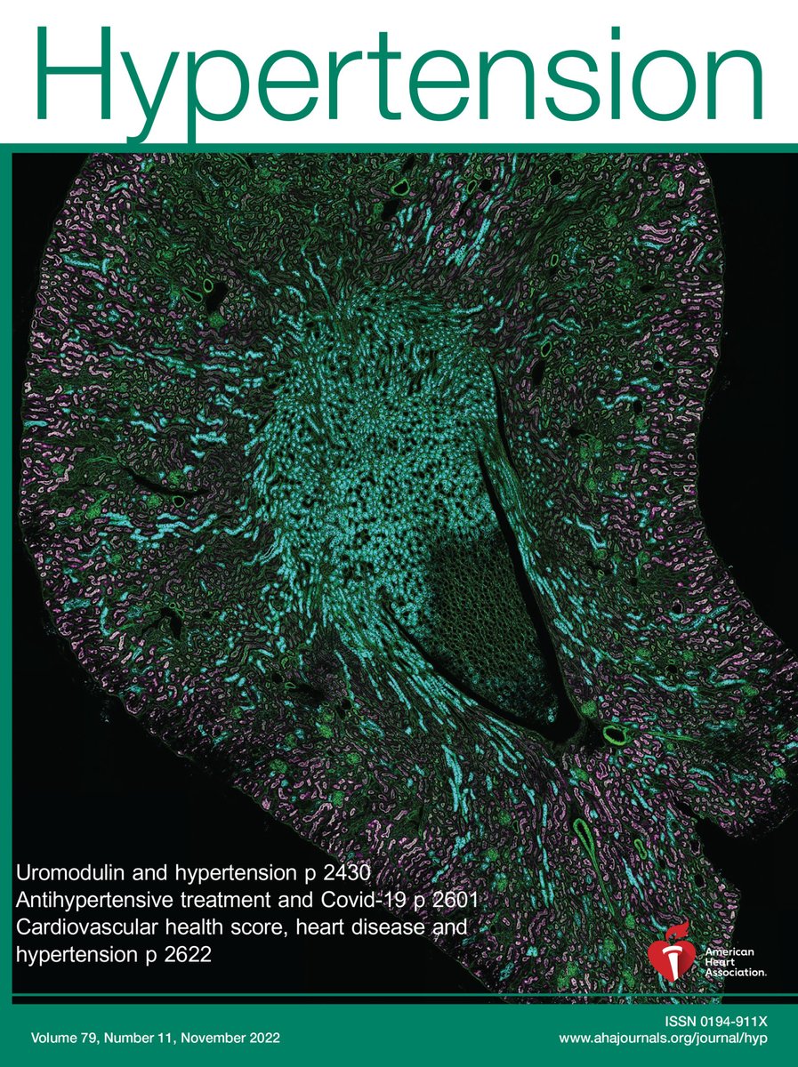 Hypertension tweet media