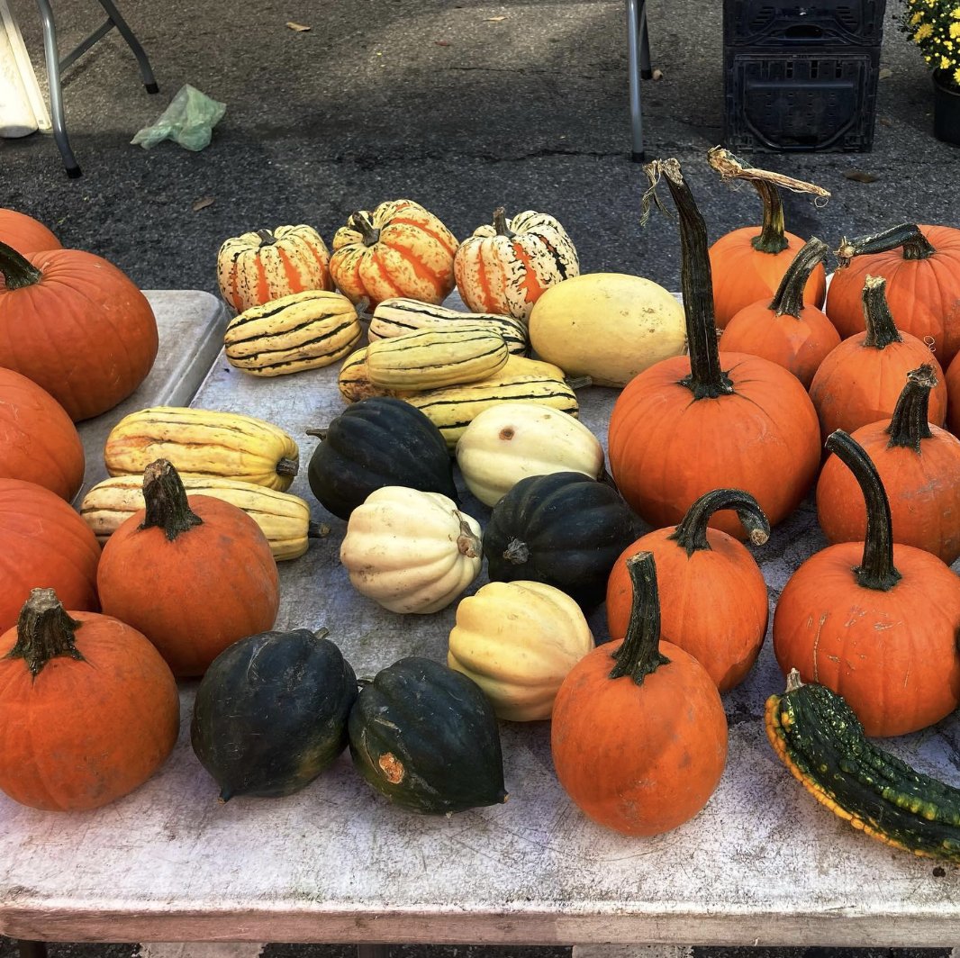 It's not too late to make a jack-o-latern or add some fall decor to your apartment! Pick up a pumpkin from the Astor Place Greenmarket tomorrow between 8am and 5pm. Help get your home ready for Halloween🎃 📸: @GrowNYC